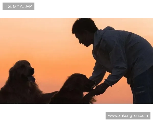 99%的人没看懂的《XXXX》：3个惊天反转，结局太虐心