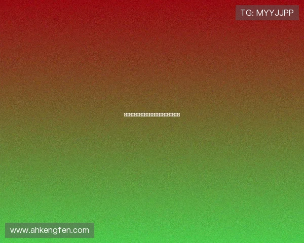 石川施恩惠全集:雕刻时光,臻献永恒的东方美学
